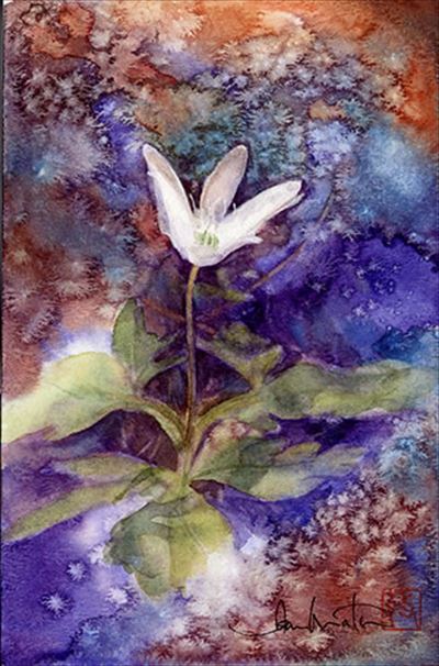 花の水彩画 watercolour by Osamu Murata 村田收