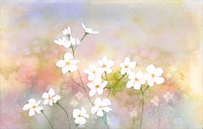 花の水彩画 watercolour by Osamu Murata 村田收